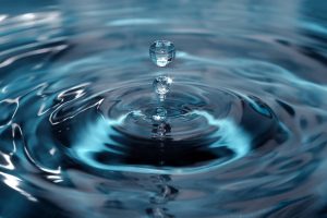 acqua_ acqua_